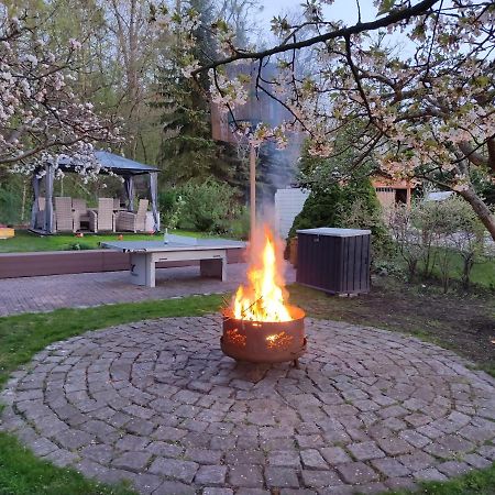 Grosszuegige Ferienwohnung Am Waldesrand Im Seenland Lauta Exterior photo