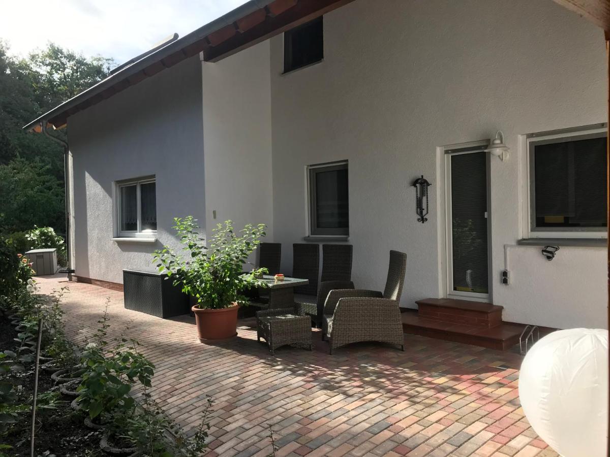 Grosszuegige Ferienwohnung Am Waldesrand Im Seenland Lauta Exterior photo
