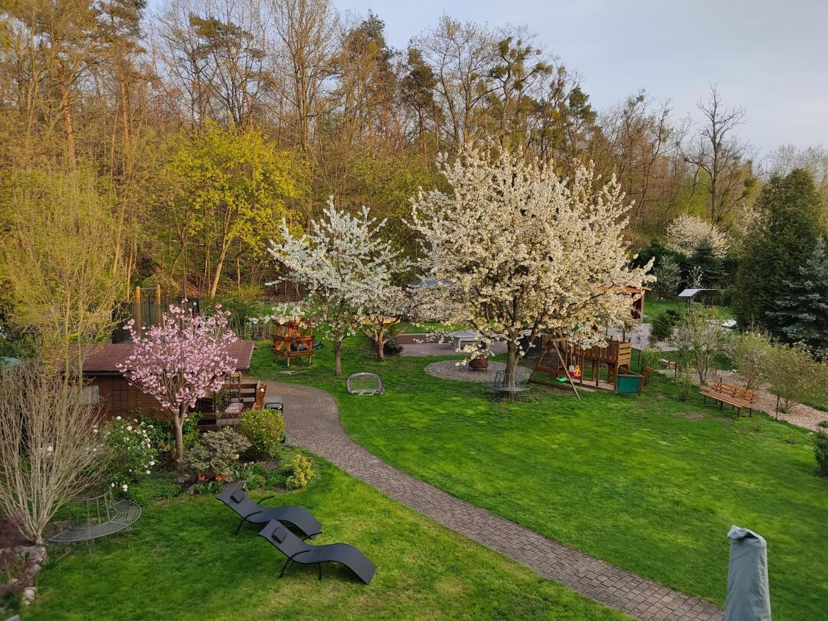 Grosszuegige Ferienwohnung Am Waldesrand Im Seenland Lauta Exterior photo